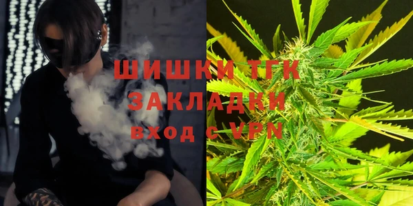 ешки Алексин