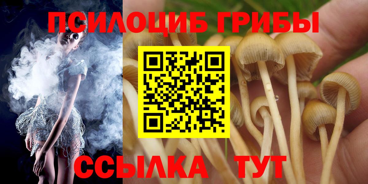 Галлюциногенные грибы Magic Shrooms  Вход с VPN  Благодарный  Галлюциногенные грибы мицелий 